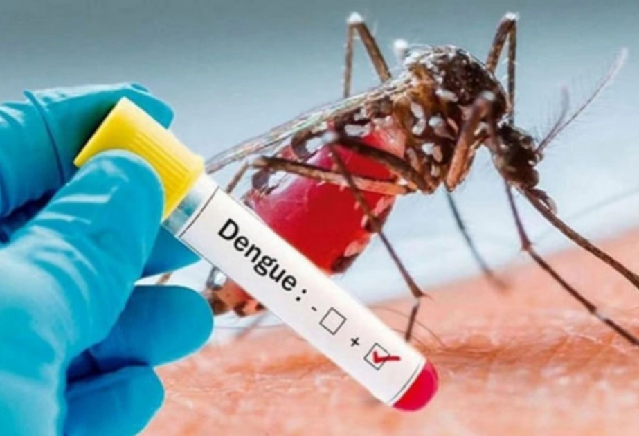 Şri-Lankada təhlükəli virus: 52 mindən çox yoluxma, 31 ölüm