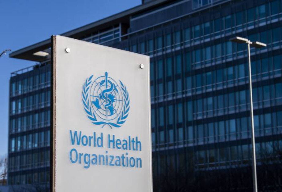 WHO: Ausbruch des Hantavirus geht zu Ende
