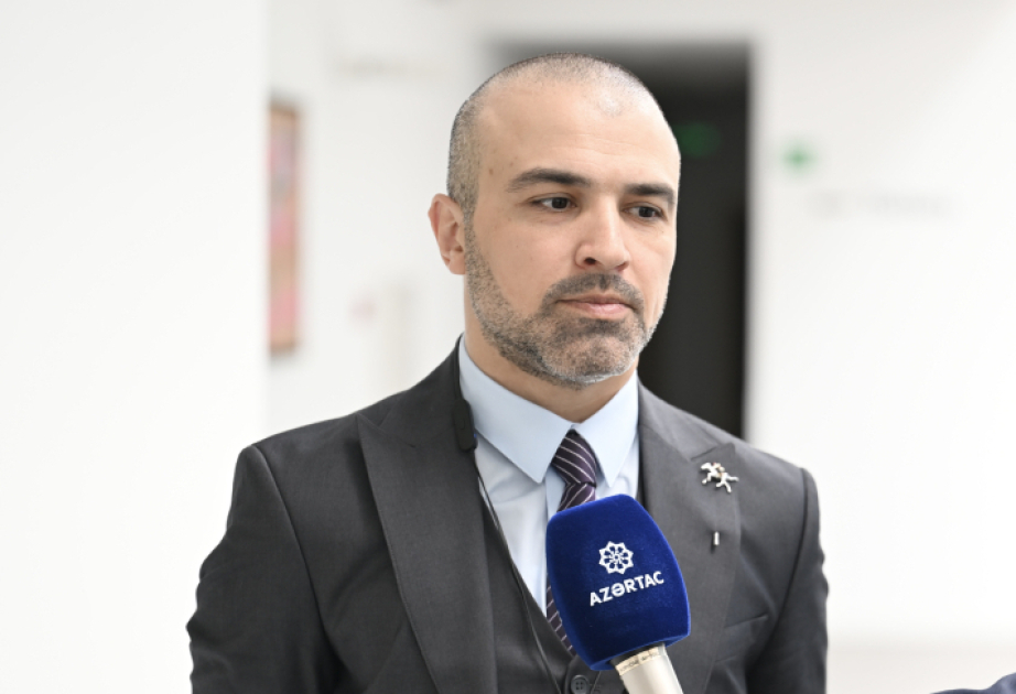 Türk dünyasında mədəni birlik iqtisadi inteqrasiyanın möhkəm təməlidir - ekspert