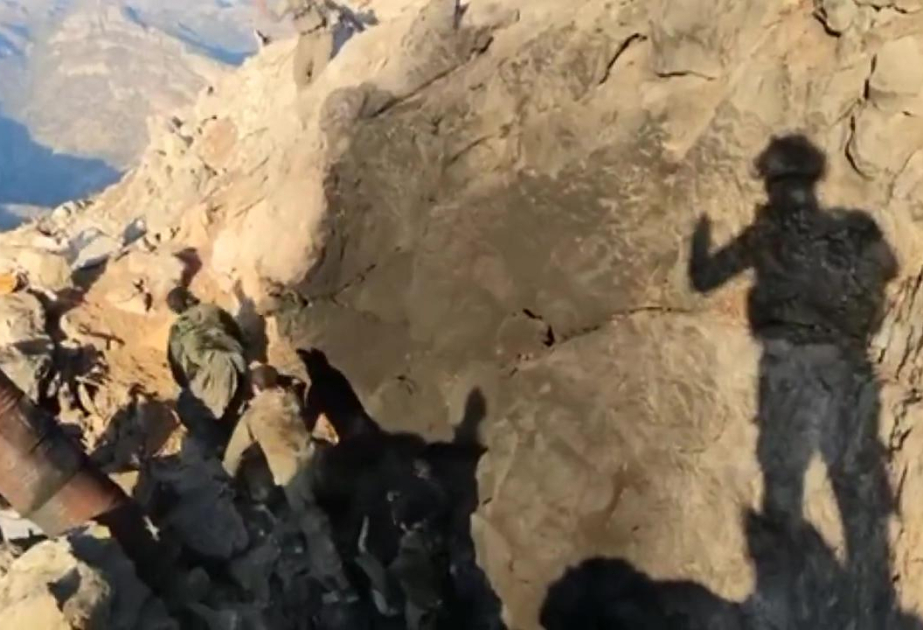 Bu il Türkiyədə terror təşkilatlarının 134 üzvü təslim olub