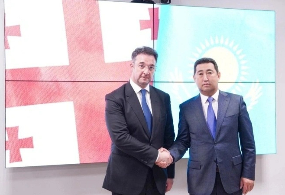 Kazakhstan-Georgia agricultural products turnover exceeds USD 116 mln