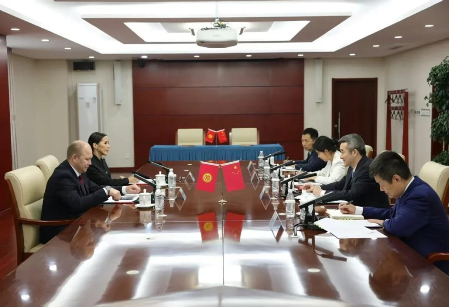 Kyrgyzstan, China launch project to treat children with heart defects