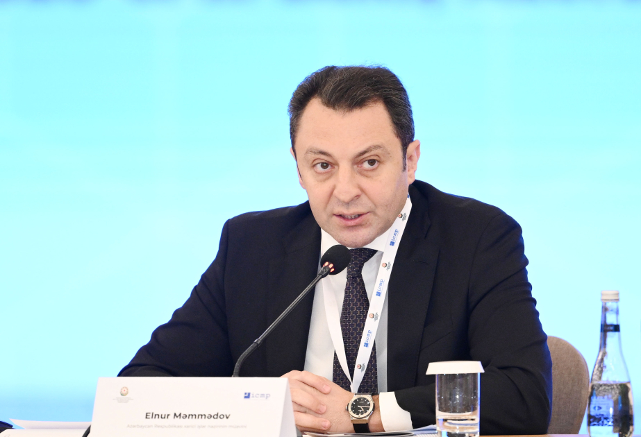 Nazir müavini: İtkin düşmüş şəxslər probleminin həlli bütün tərəflərin birgə səylərini və şəffaf əməkdaşlığını tələb edir VİDEO