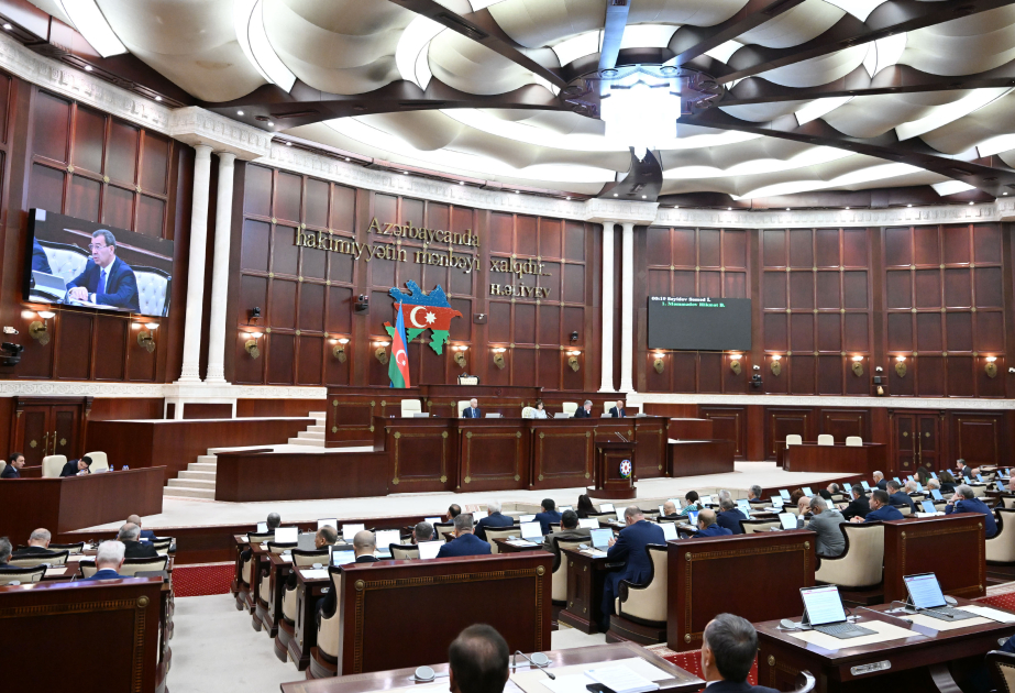 Sosial şəbəkələrdə uşaqların hüquqlarının qorunmasına dair qanun layihəsi son oxunuşda qəbul edilib