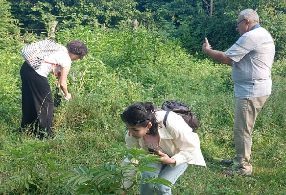 Zaqatala rayonunda flora müxtəlifliyi və nadir bitkilər öyrənilib