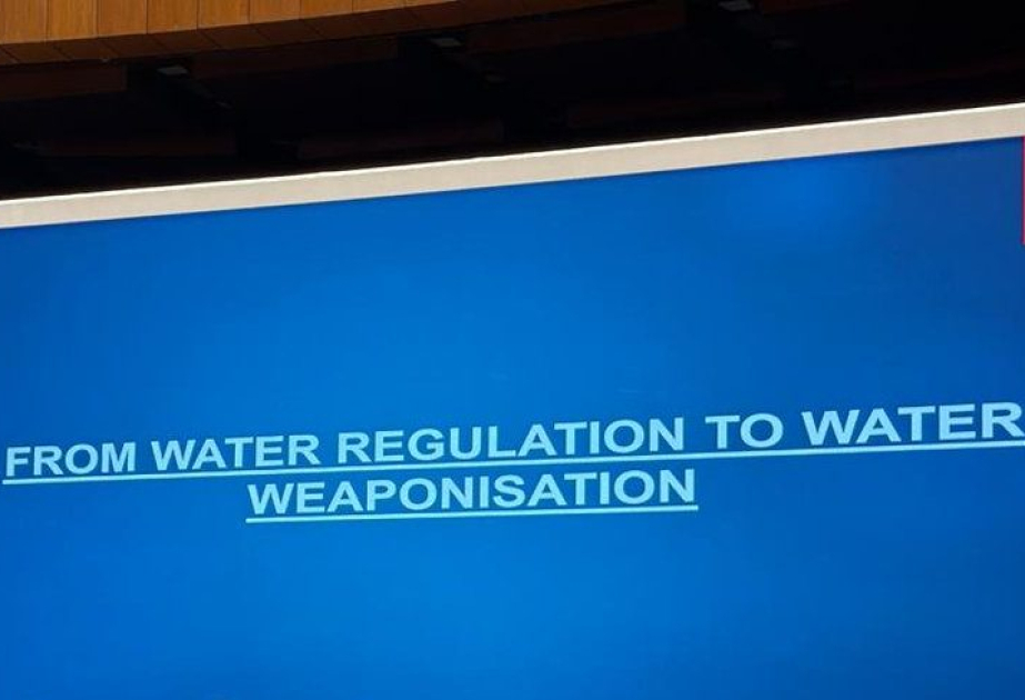 APP: India’s unilateral actions undermining int’l laws, water weaponization risks regional peace: Speakers at IWT seminar