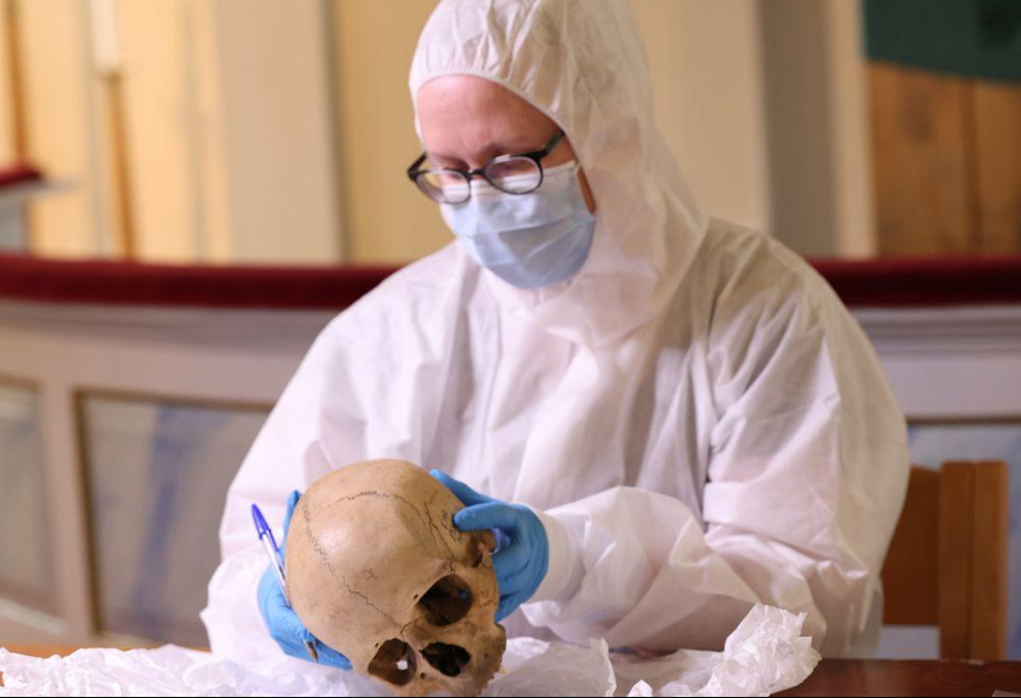 ДНК раскрыла тайну черепа, вывезенного из Финляндии для расовых исследований
