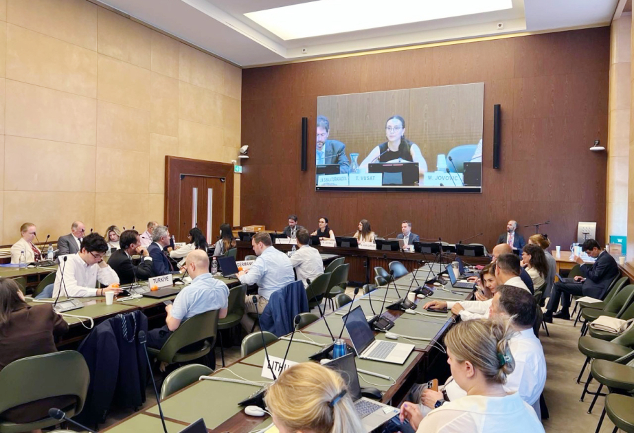 Azərbaycan UNECE-nin Komitə Bürosunun rəhbərliyində təmsil olunur