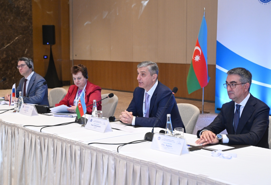 Vüqar Gülməmmədov: Dövlət satınalmalarının effektiv auditi iqtisadi artım və ictimai etimadın əsas təminatlarından biridir VİDEO