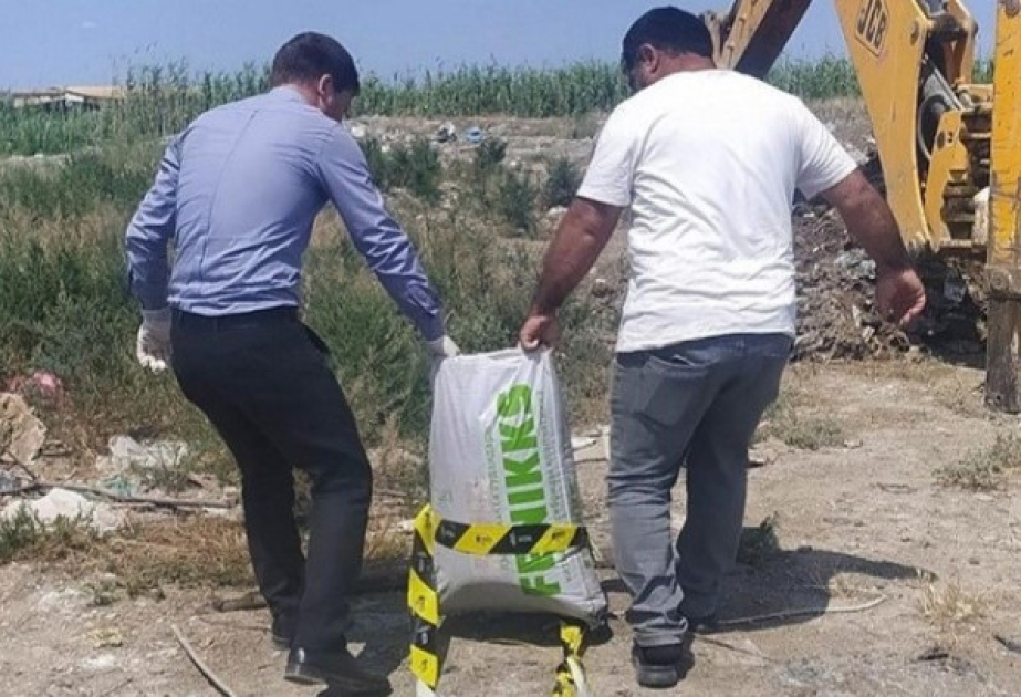 Uyğunsuzluq aşkarlanan pambıq toxumu partiyası məhv edilib