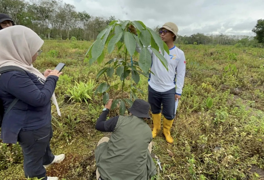 Indonesia prioritizes forest restoration in disaster zones