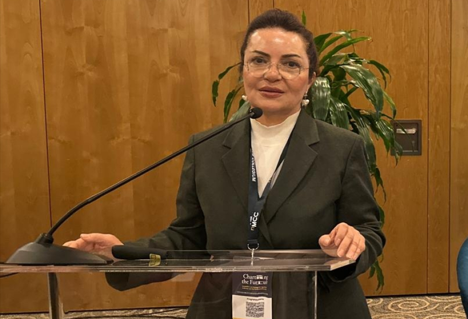 Aygün Attar: I Türkoloji Qurultayın 100 illiyinin Bakıda keçirilməsi Türk dünyasının gələcəyinə strateji töhfə verəcək