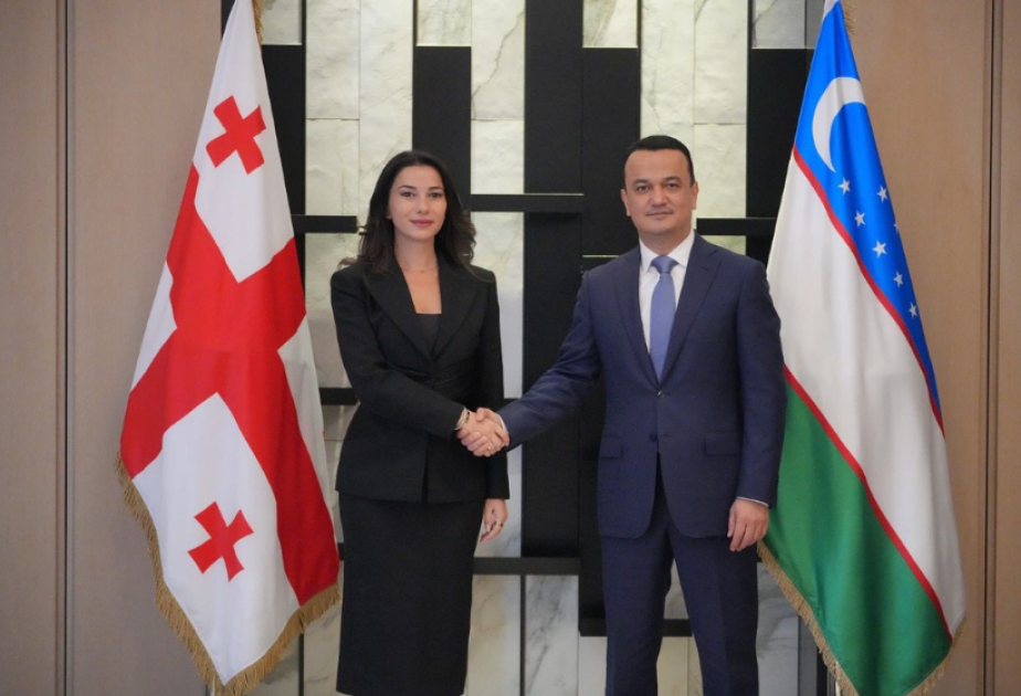 Gürcüstan və Özbəkistan rəsmiləri regional logistik və nəqliyyat layihələrini müzakirə ediblər