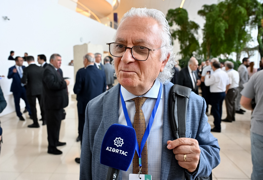 Türk alim: Türkologiyada müasir texnologiyalardan geniş istifadə edilməlidir