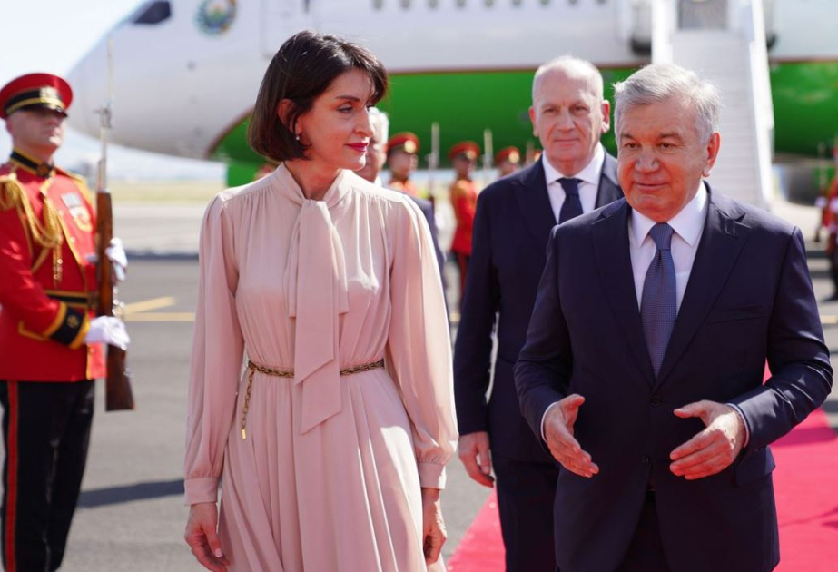 Nazir: Özbəkistan Prezidentinin Gürcüstana səfəri hər iki ölkə üçün tarixi fürsətdir