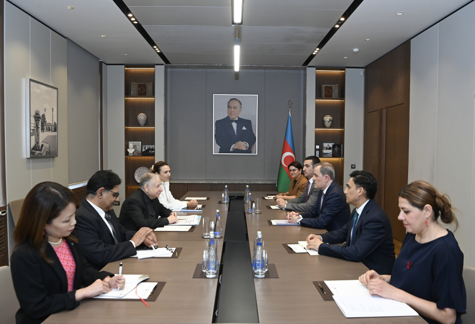 El Enviado Especial del Secretario General de la ONU elogia los avances de Azerbaiyán en materia de seguridad vial