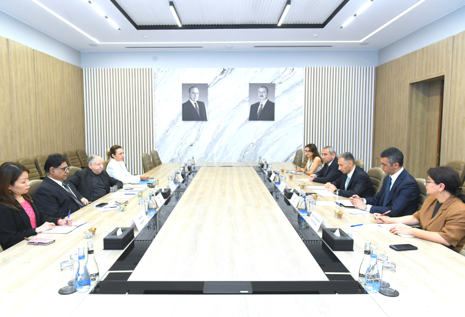 Nazir Rəşad Nəbiyev BMT-nin Baş katibinin elçisini Azərbaycanda yol hərəkəti təhlükəsizliyi ilə bağlı islahatlar barədə məlumatlandırıb