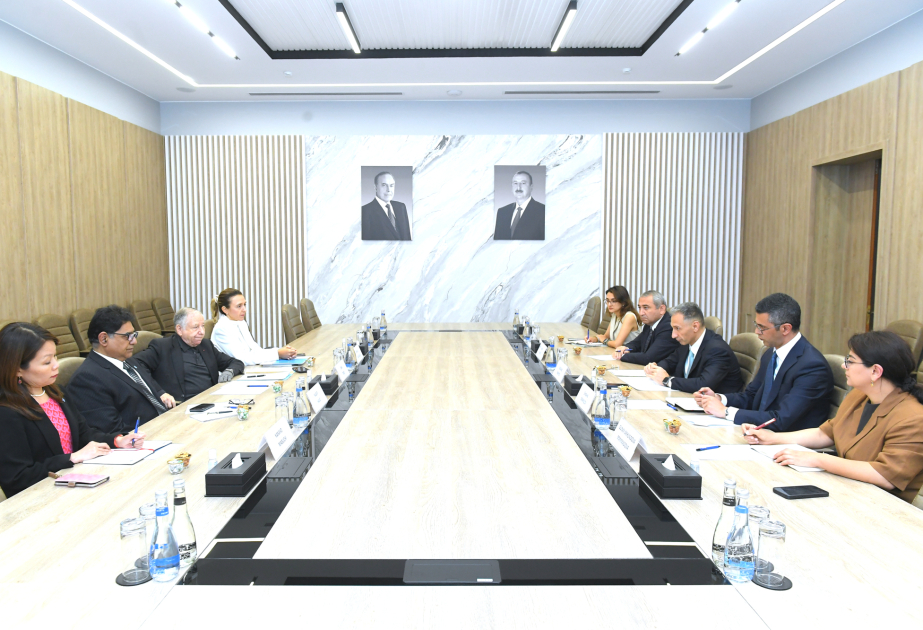 الوزير رشاد نبييف يطلع المبعوث الخاص للأمين العام للأمم المتحدة على الإصلاحات المتعلقة بالسلامة المرورية في أذربيجان