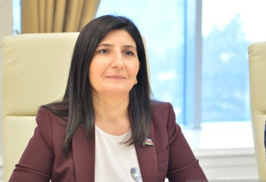 Azərbaycan-Avropa İttifaqı münasibətlərində enerji sektoru əməkdaşlığın əsasını təşkil edir RƏY