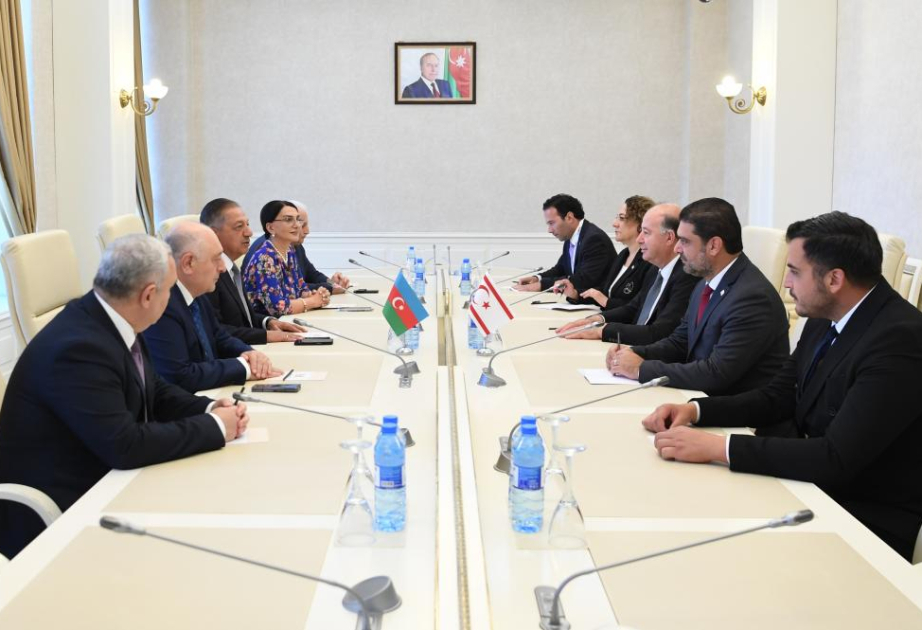 Besuch der türkischen Militär-Delegation in Aserbaidschan setzt fort