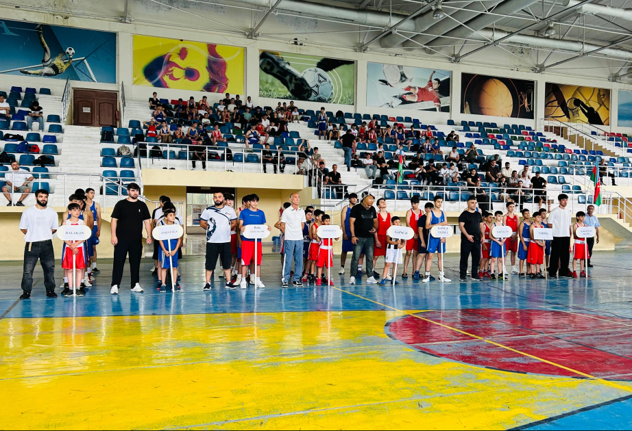 Balakəndə şəhidlərin xatirəsinə həsr olunmuş boks turniri start götürüb