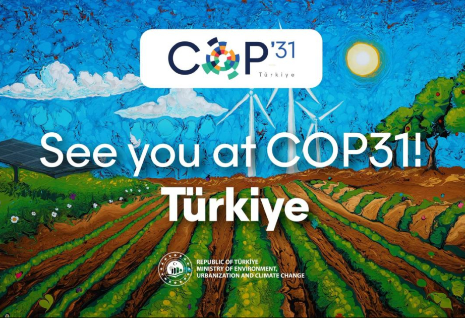 Турция готовится упростить визовый режим для участников COP31