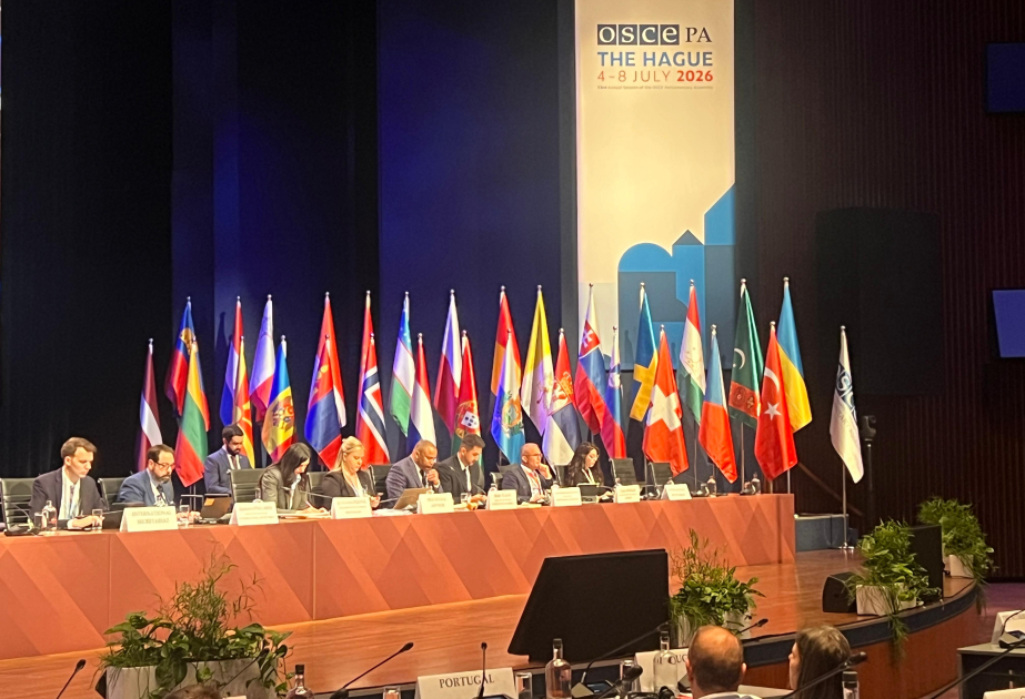 Les activités du Conseil pour le développement numérique de l’Azerbaïdjan présentées lors de la session de l’AP de l’OSCE