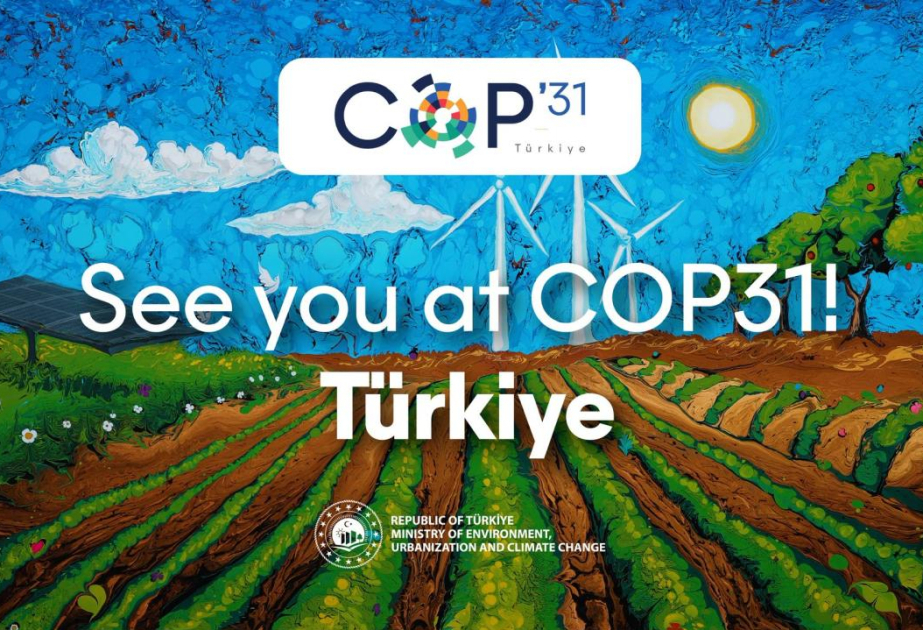 La Türkiye s’apprête à simplifier les procédures de visa pour les participants à la COP31