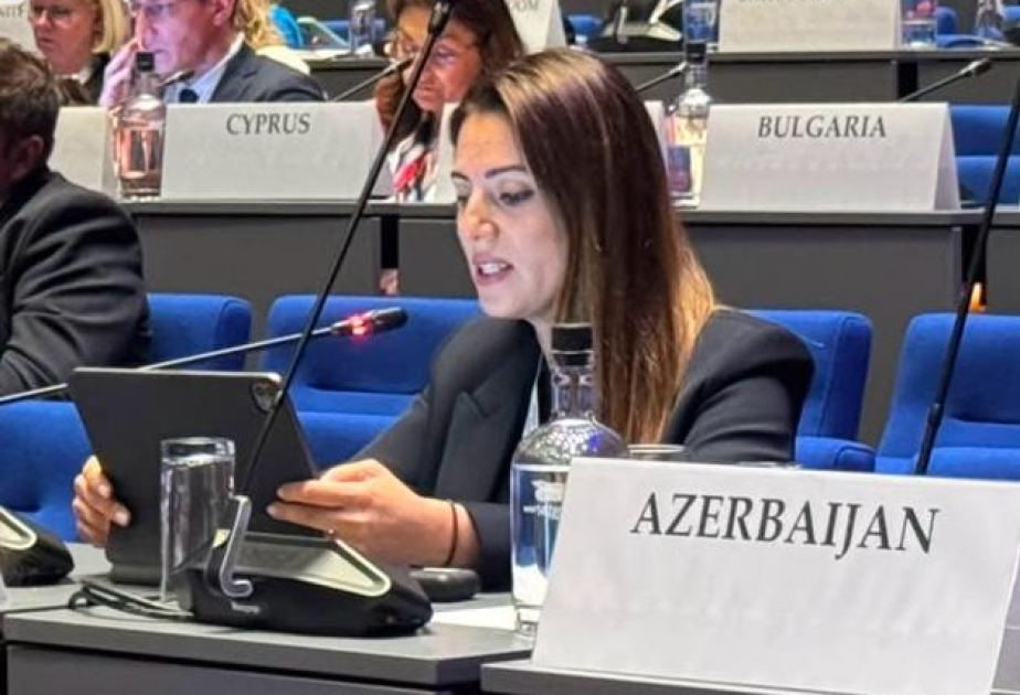Deputat: Bu gün regionumuzun davamlı sülhə nail olmaq üçün real imkanı var