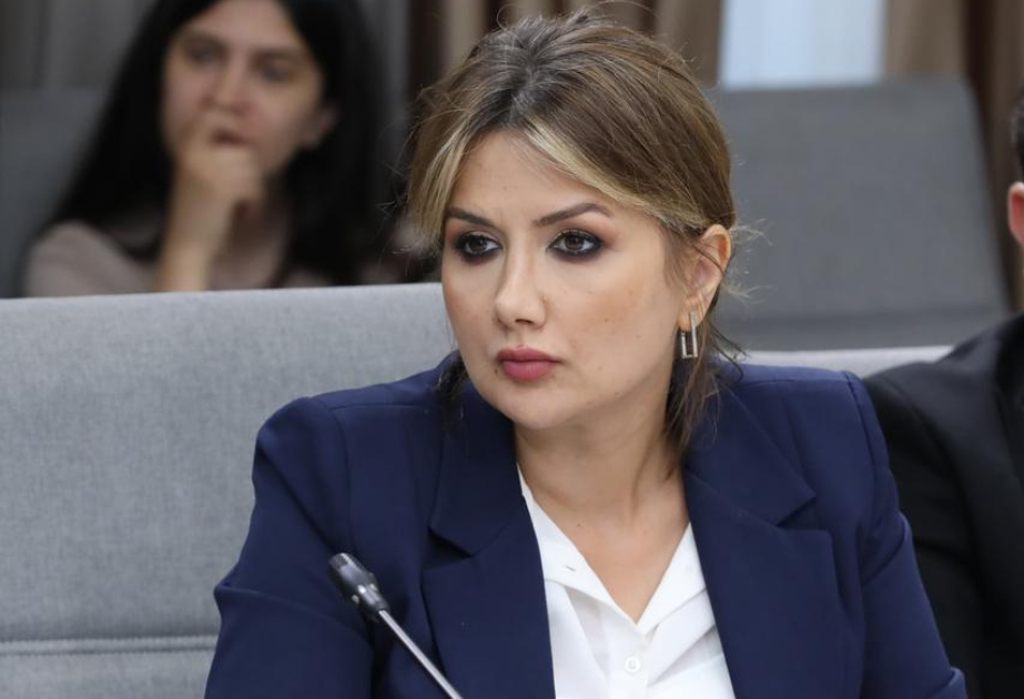 Siyasi şərhçi: Azərbaycan cəmiyyəti Prezident İlham Əliyevin siyasətində strateji məqsədlərə sadiqlik görür