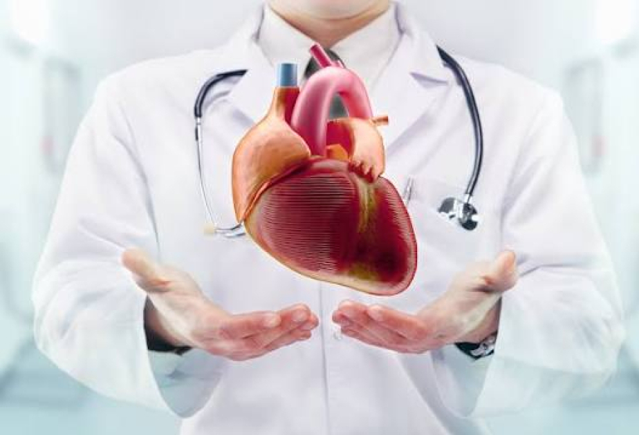 اليوم العالمي لأطباء القلب: الوقاية الصحيحة تقود لخفض الوفيات بنسبة 80 في المائة