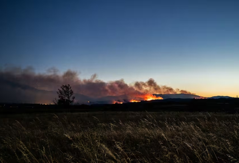 France : Plus de 11 000 hectares déjà ravagés par les incendies, les Pyrénées-Orientales restent sous haute surveillance