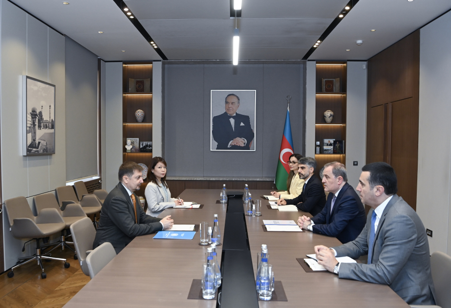 وزير الخارجية الأذربيجاني يبحث مع المنسق المقيم الجديد للأمم المتحدة أجندة التعاون وآفاق الشراكة