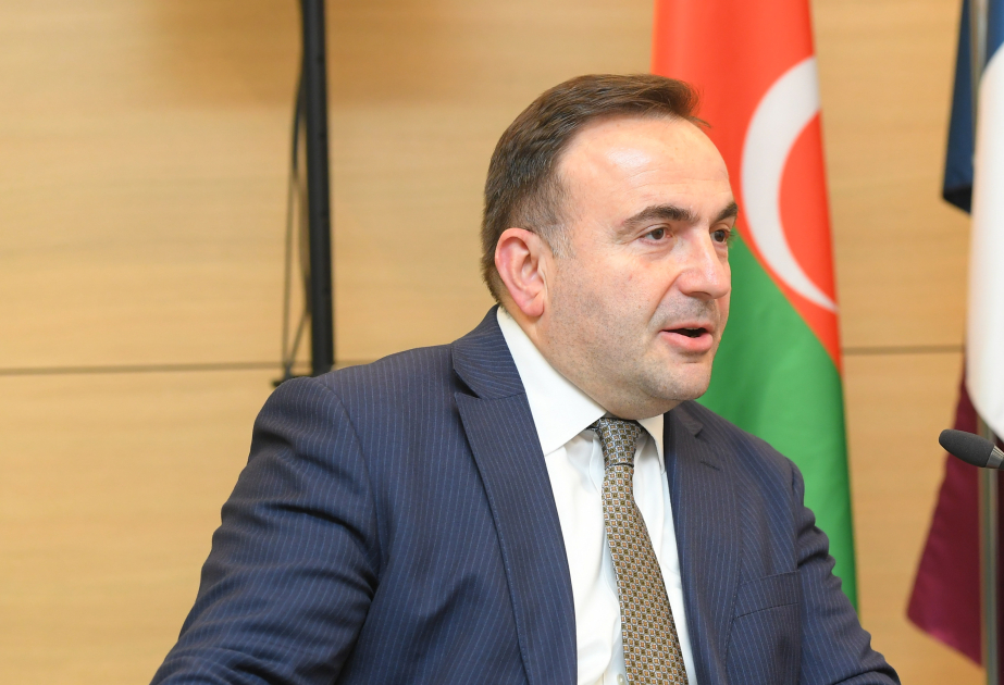 Bəxtiyar Aslanbəyli: Uzunmüddətli alqı-satqı öhdəlikləri olmadan iri qaz layihələrinə investisiya qoymaq çətindir