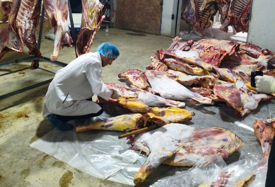 Masallıda 3 tondan çox istehlaka yararsız ət aşkarlanıb