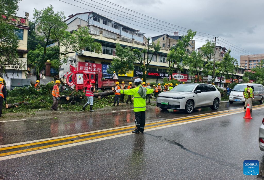 11 dead, 1 missing after thunderstorms, gales hit central China's Hubei