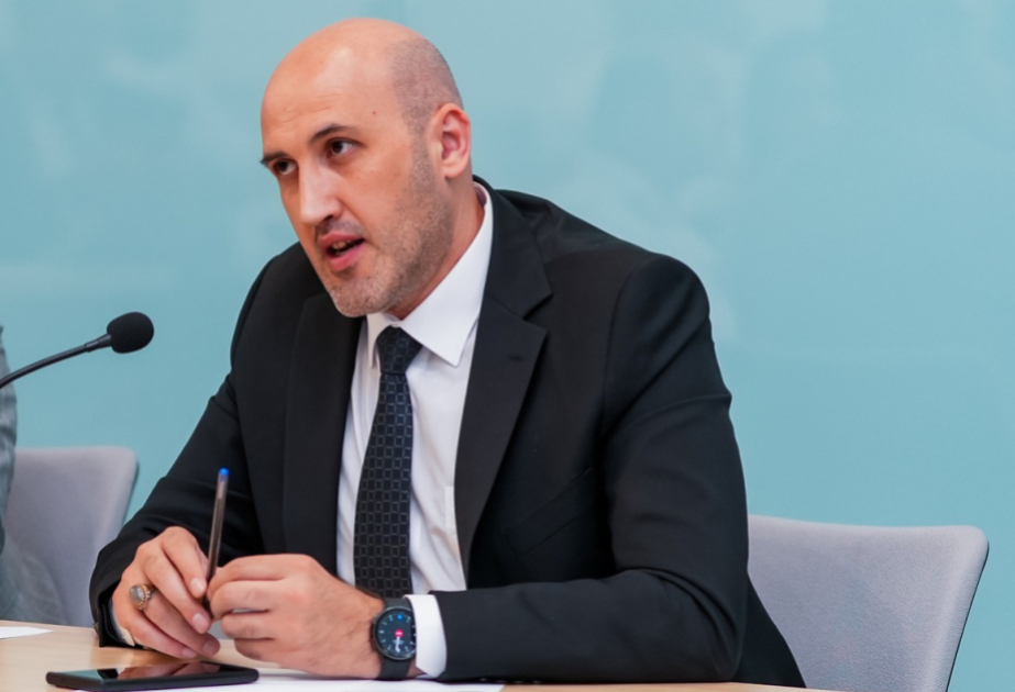 Süni intellektdən maksimum səmərə əldə etmək üçün bərpaolunan enerji sektoruna üstünlük verilməlidir – Ekspert rəyi