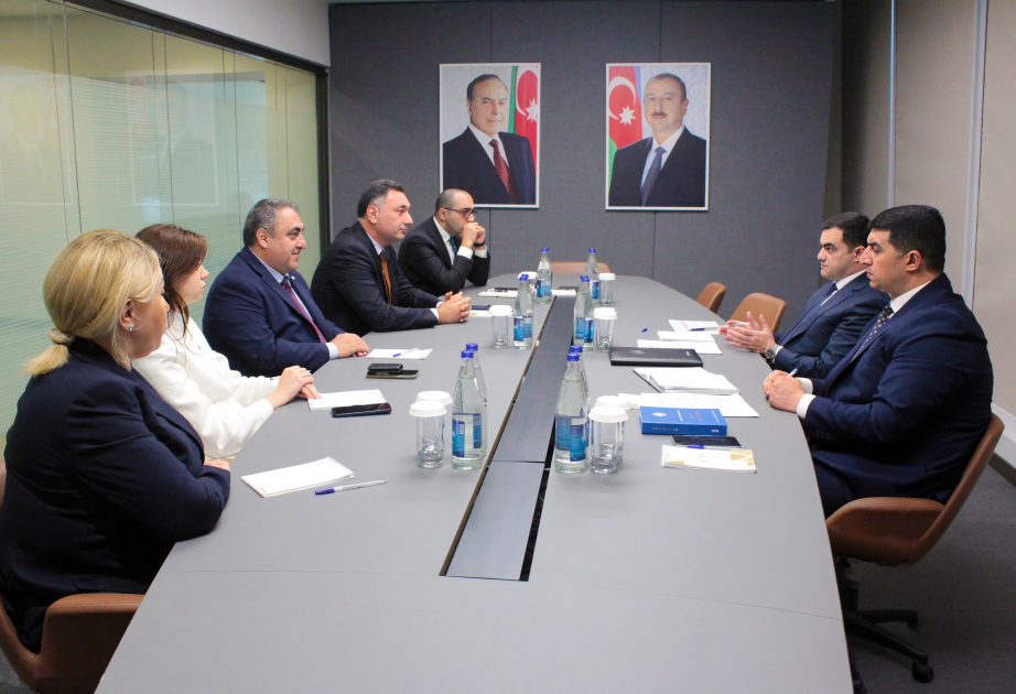 Daşınmaz əmlak, investisiya fəaliyyəti, əmək münasibətləri və elektron vergi inzibatçılığı ilə bağlı təkliflər dinlənilib