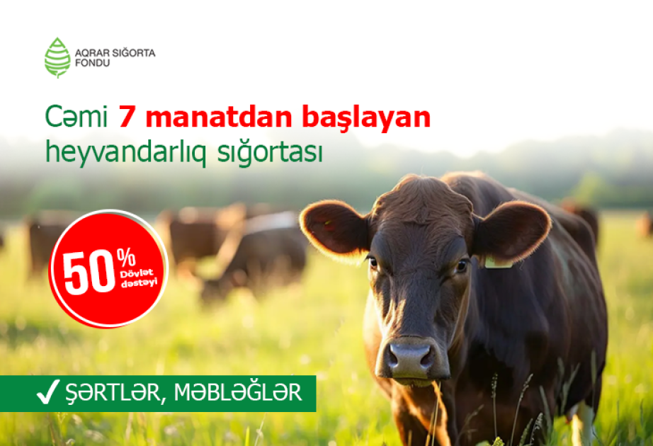 Yarısını dövlət ödəyir - mal-qara sığortası neçəyə başa gəlir?