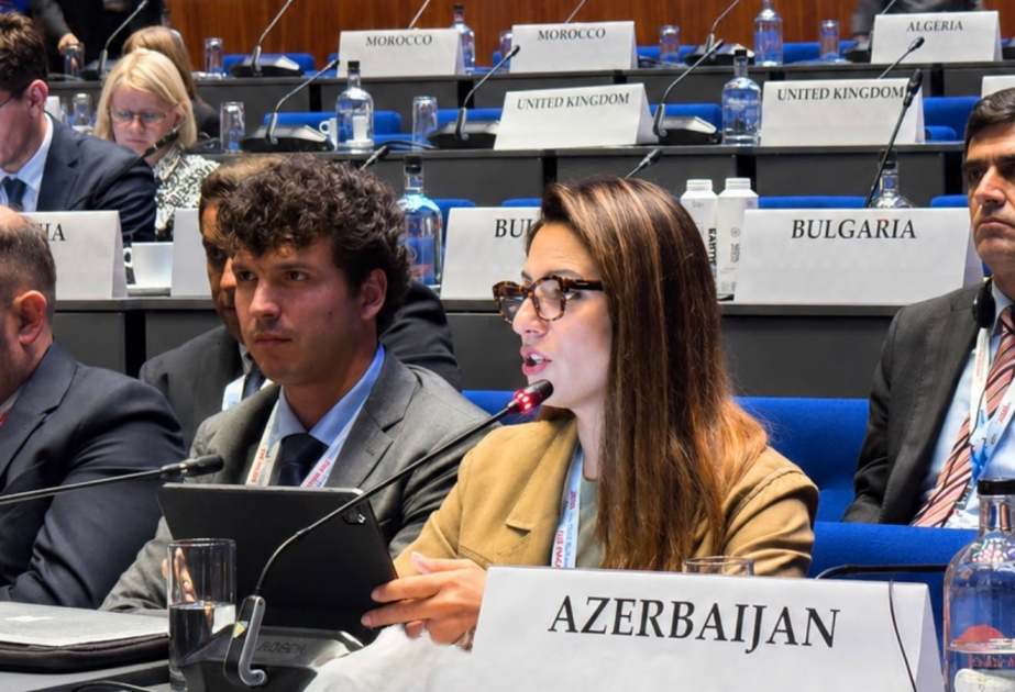 Azərbaycanın kibertəhlükəsizlik siyasəti ATƏT PA-da diqqətə çatdırılıb