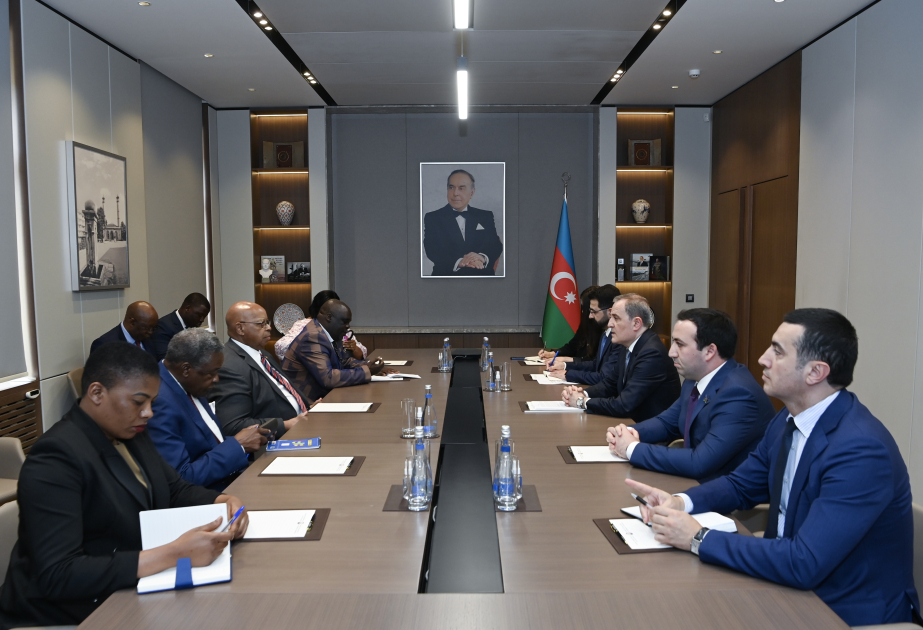 وزير الخارجية الأذربيجاني يبحث مع رئيس الجمعية الوطنية الزمبابوي تعزيز التعاون الثنائي
