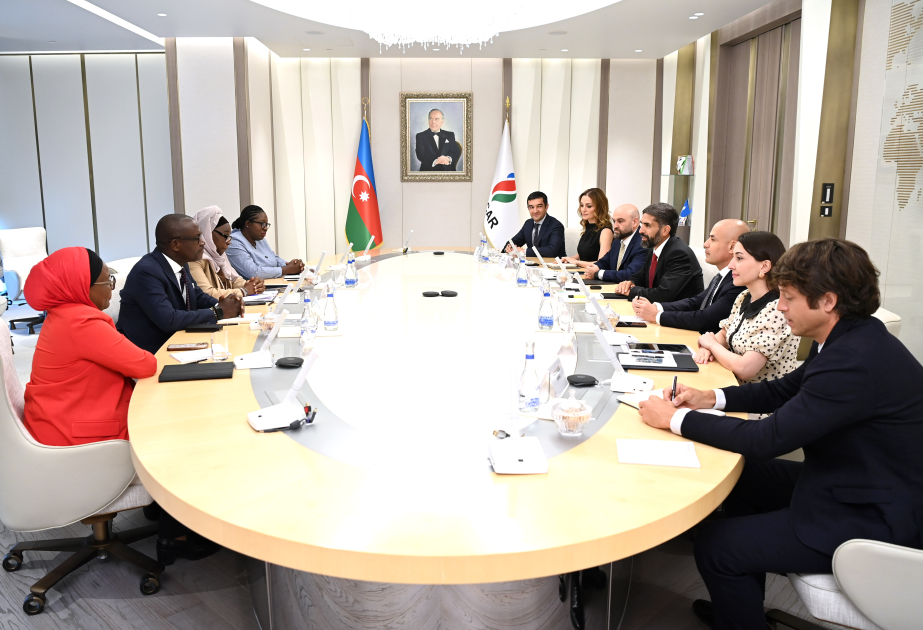 SOCAR und PETROCI beraten über Zusammenarbeit beim Baleine-Projekt
