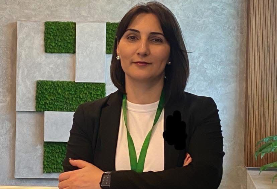 Ekspert: Sosial şəbəkələrdə yaşın yoxlanılması uşaqların müdafiəsi baxımından vacib addımdır