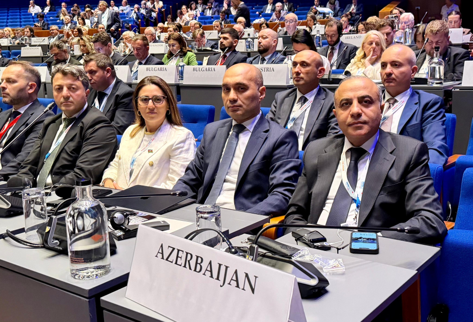 Azərbaycan nümayəndə heyəti ATƏT PA-nın illik sessiyasında iştirak edib