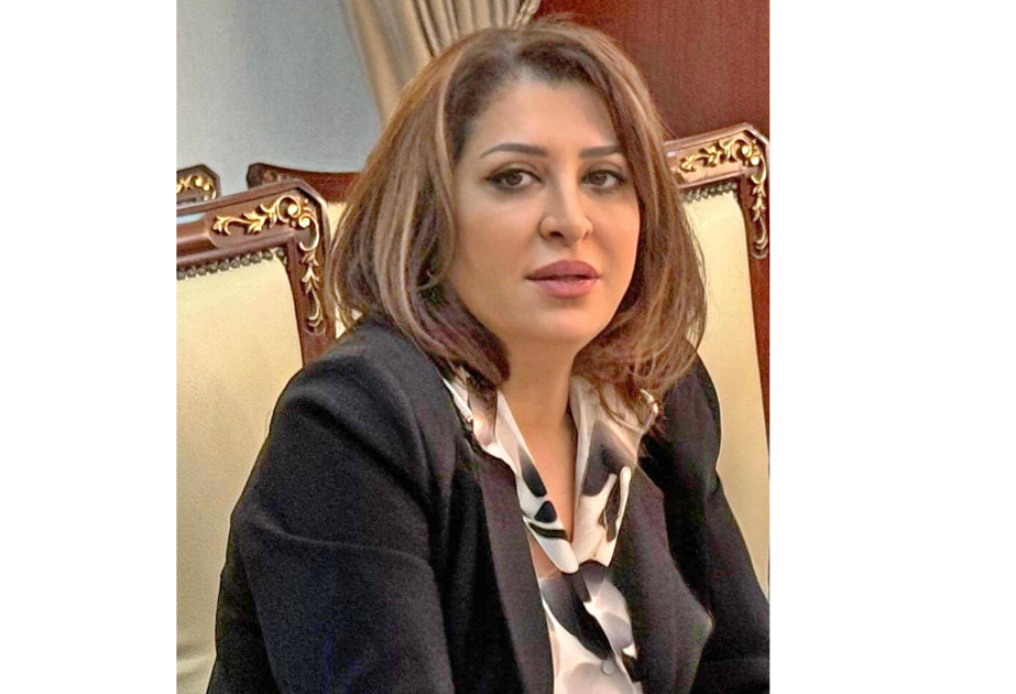Müdrik və uzaqgörən siyasət, milli maraqların müdafiəsi –  ŞƏRH
