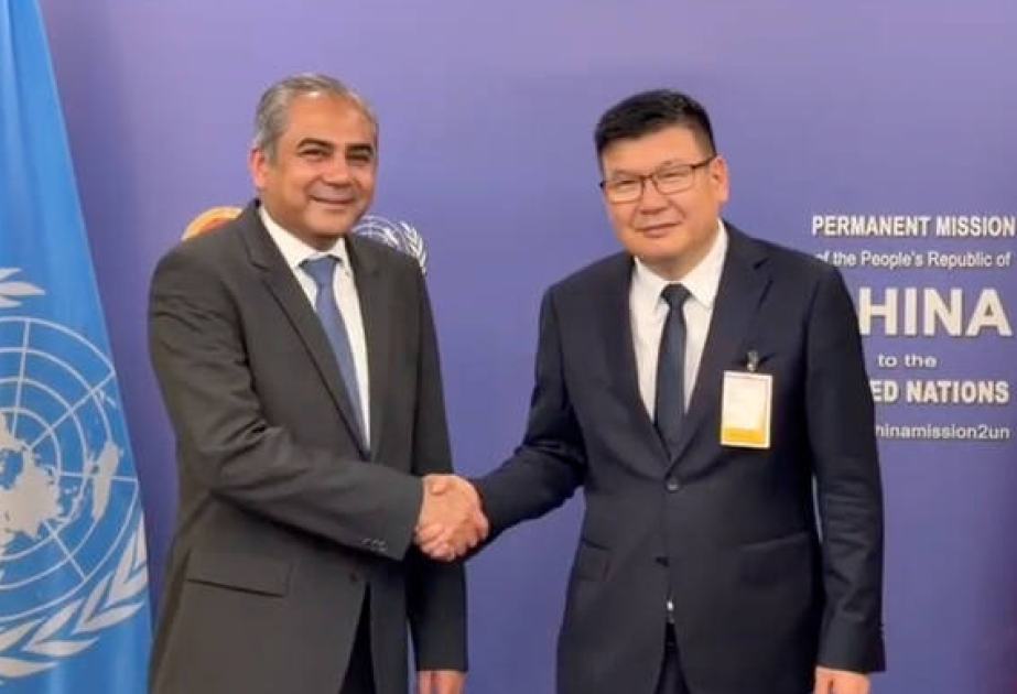 Pakistan, China reaffirm security partnership at UN meeting in New York