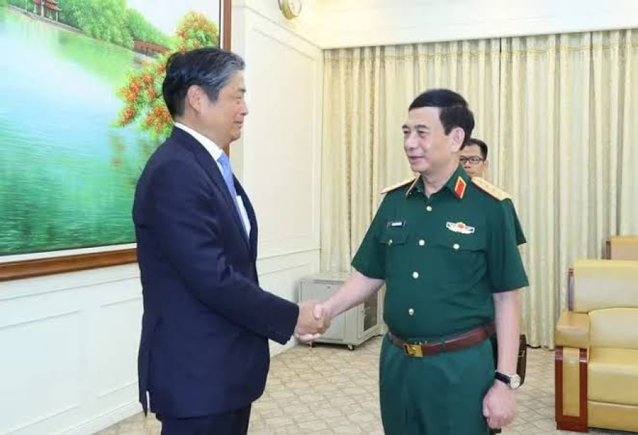 Vietnam, Japan seek new strides in defence cooperation