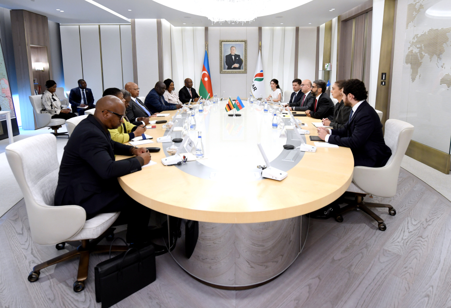 La SOCAR examine les perspectives de coopération avec le Zimbabwe dans les différents secteurs de l’énergie