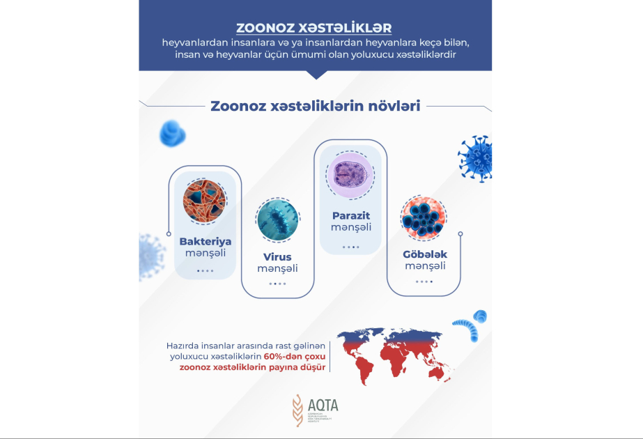 Zoonoz xəstəliklər – insan və heyvan sağlamlığı üçün təhlükə