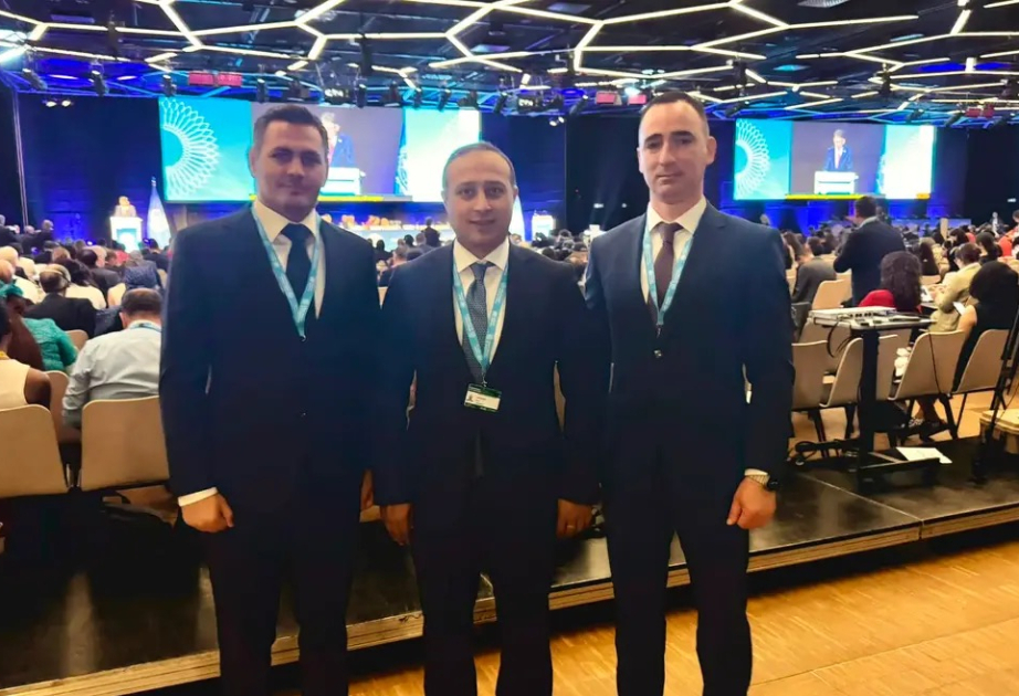 Azərbaycan BMT-nin süni intellektin idarəolunması üzrə ilk Qlobal Dialoqunda kibertəhlükəsizlik gündəliyinə qoşulub